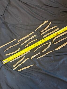 Natural Driftwood Sticks for Reptile Habitats - Tan